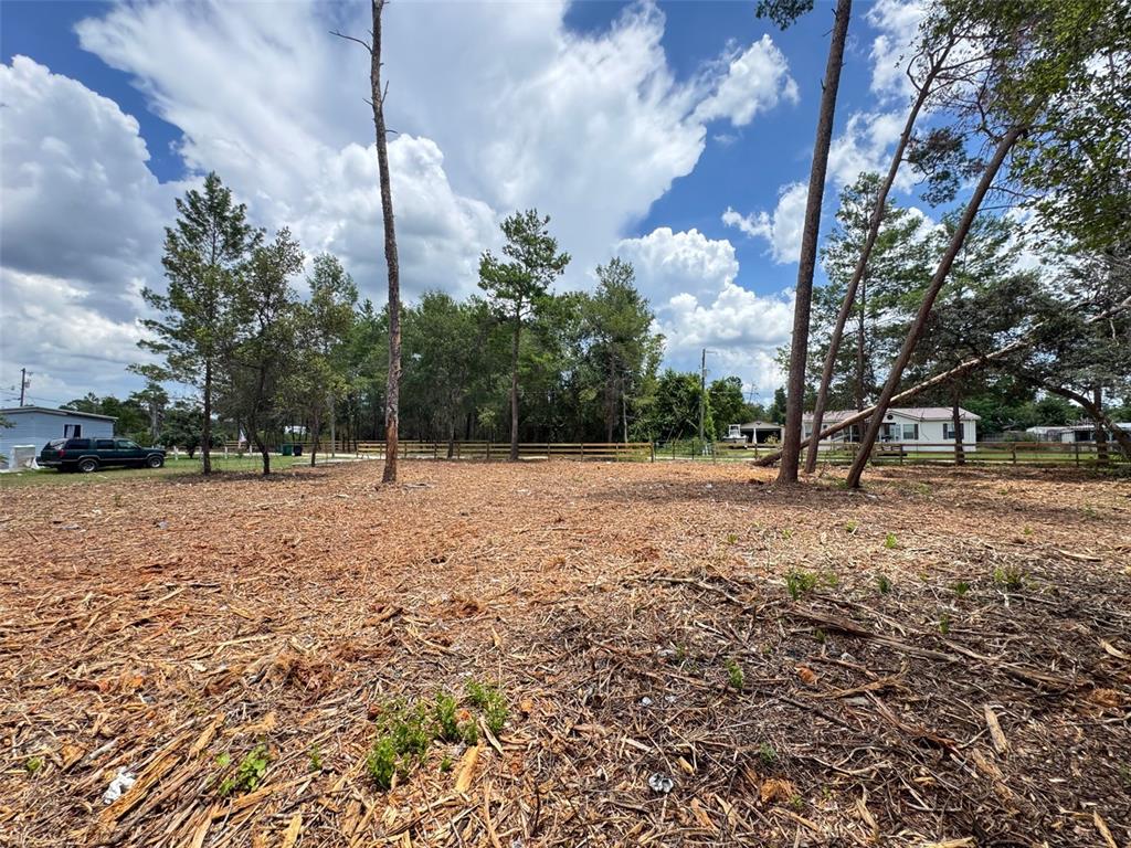 West Pine Street Paisley, FL 32767 - Photo 4 of 7 a backyard of a house with lots of green space