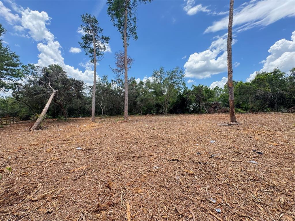 West Pine Street Paisley, FL 32767 - Photo 5 of 7 a view of a outdoor space