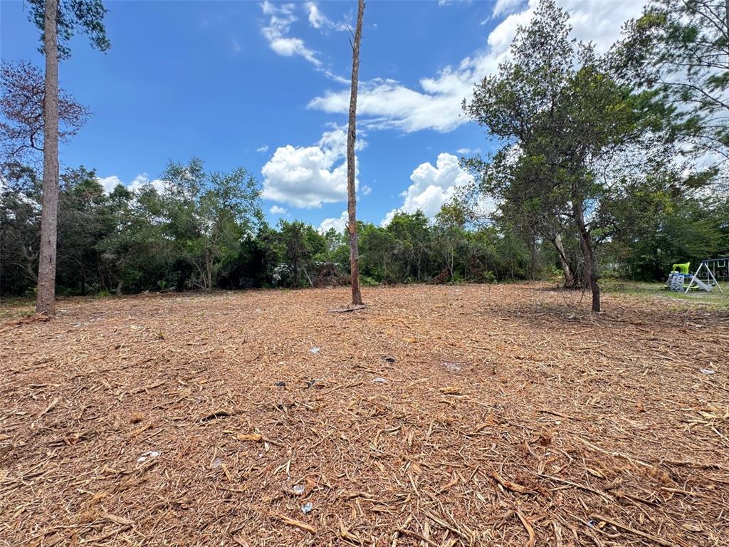 West Pine Street Paisley, FL 32767 - Photo 6 of 7 a backyard of a house with lots of green space