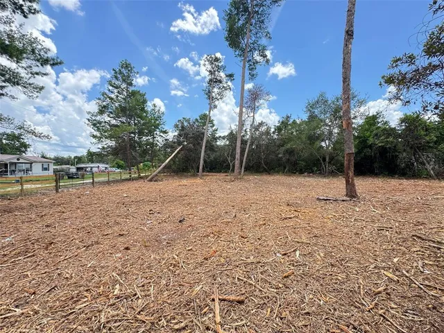 a view of outdoor space with trees
