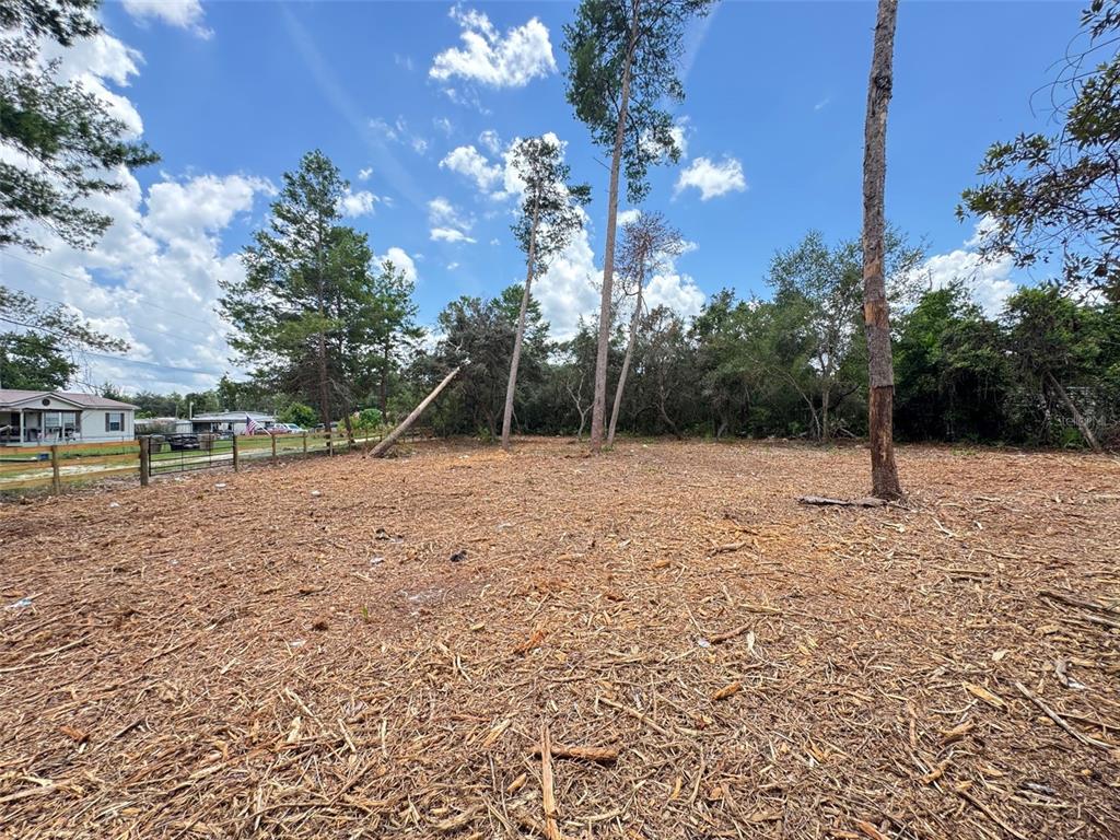 West Pine Street Paisley, FL 32767 - Photo 7 of 7 a view of outdoor space with trees
