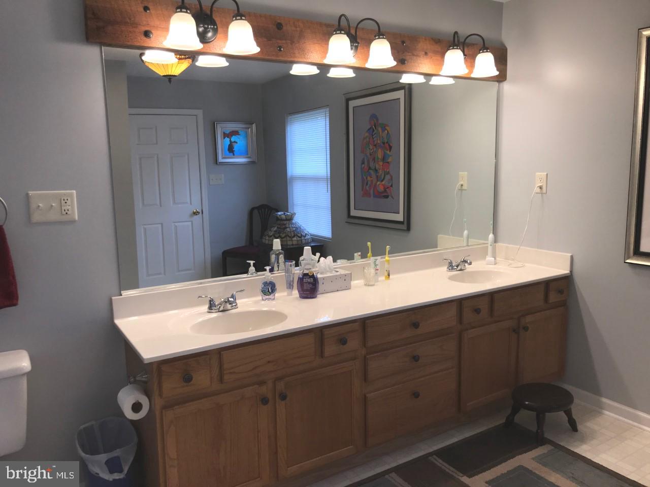 12032 Dutch Hollow Road Culpeper, VA 22701 - Photo 12 of 25 Master Bathroom