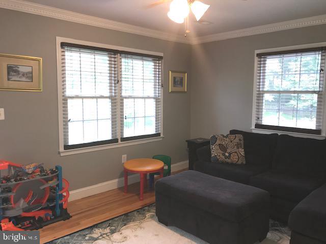 Gallery Image 7