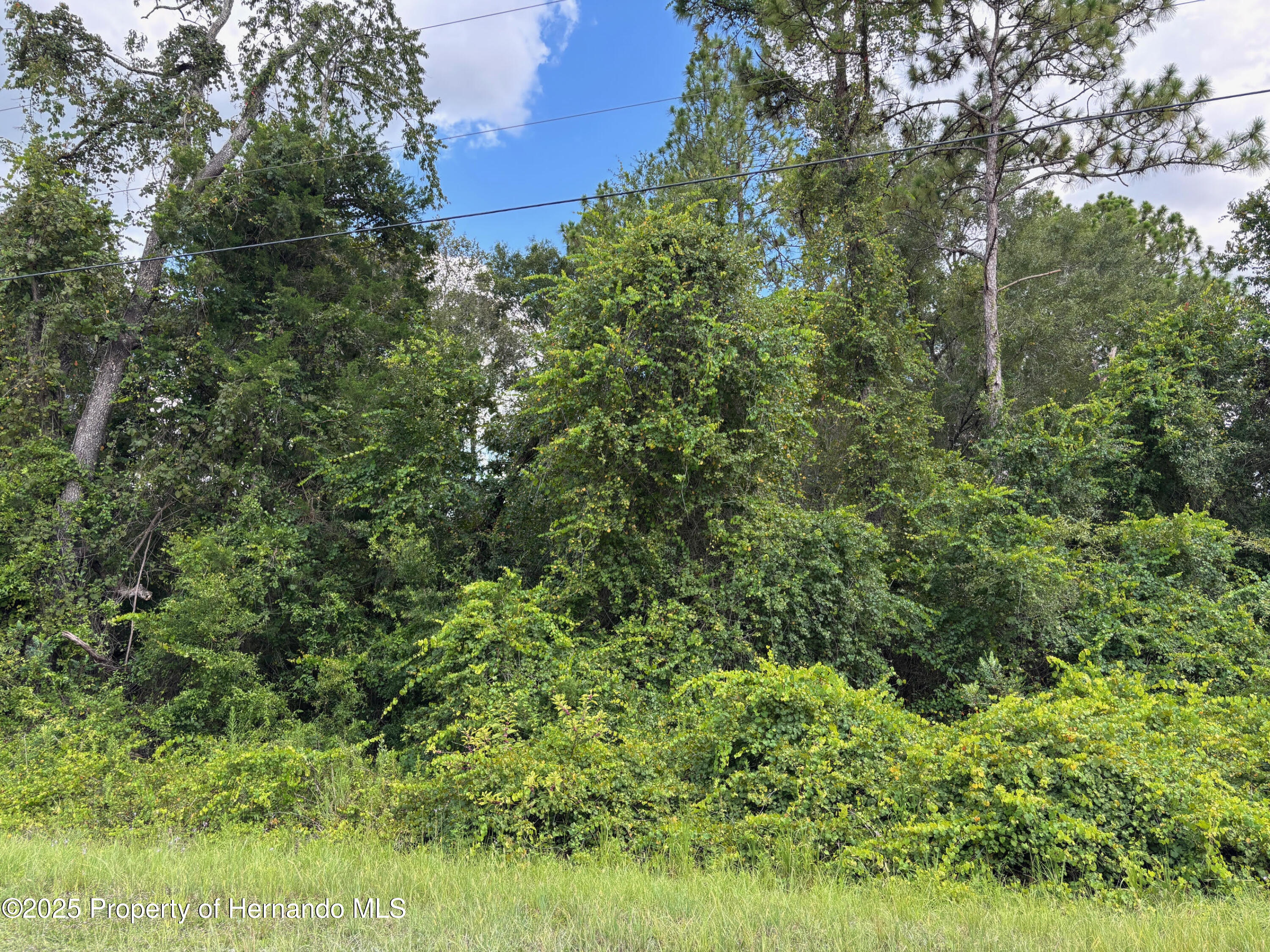 Lot 1 Canvasback Road Weeki Wachee, FL 34614 - Photo 4 of 11