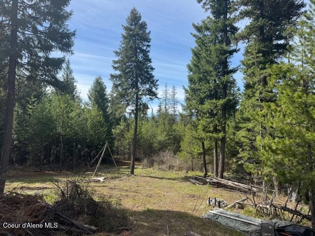 833 Willow Loop Road Fernwood, ID 83830 - Photo 7 of 10 Property