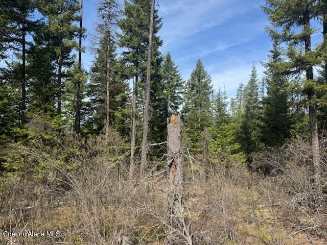 833 Willow Loop Road Fernwood, ID 83830 - Photo 8 of 10 Property