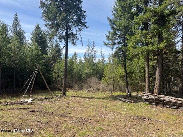 833 Willow Loop Road Fernwood, ID 83830 - Photo 9 of 10 Property