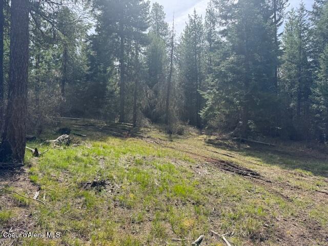 833 Willow Loop Road Fernwood, ID 83830 - Photo 10 of 10 Property