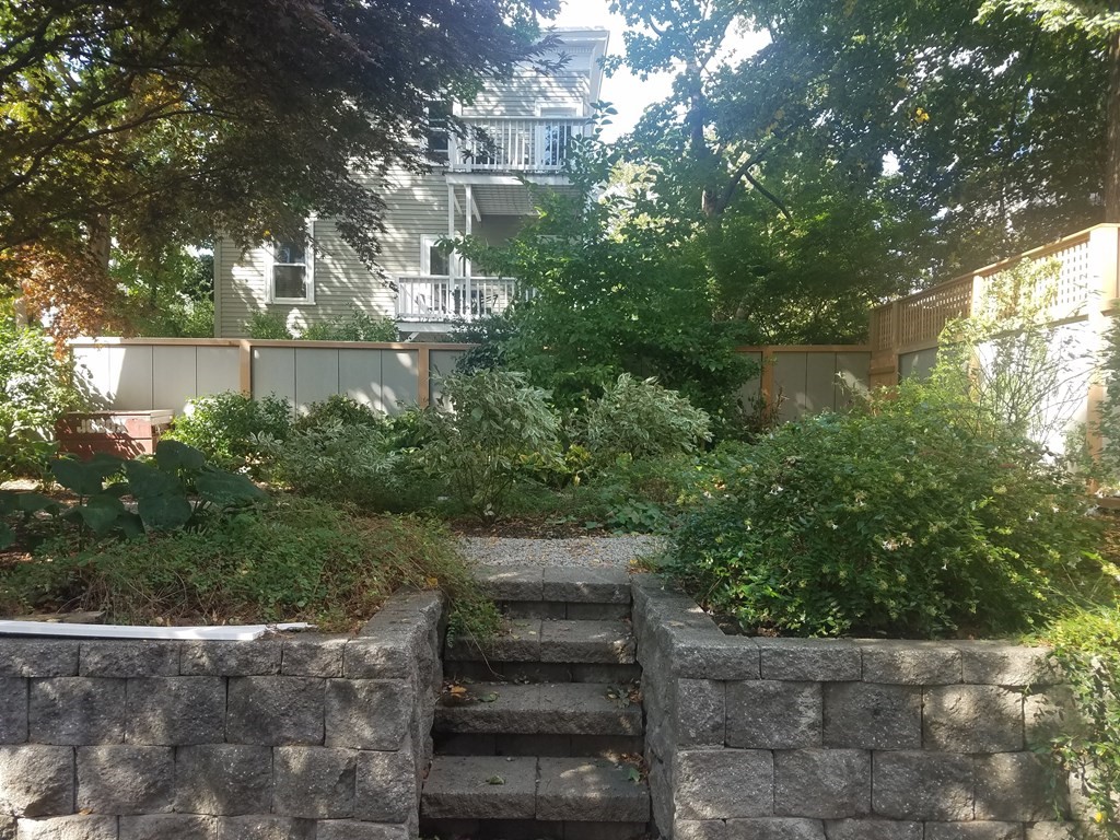 4 Ellery Square Cambridge, MA 02138 - Photo 22 of 23 a view of a garden