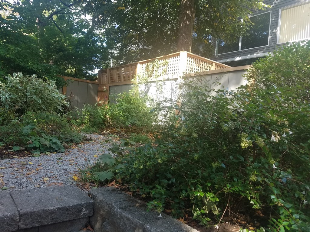 4 Ellery Square Cambridge, MA 02138 - Photo 23 of 23 a backyard of a house with a yard and garage