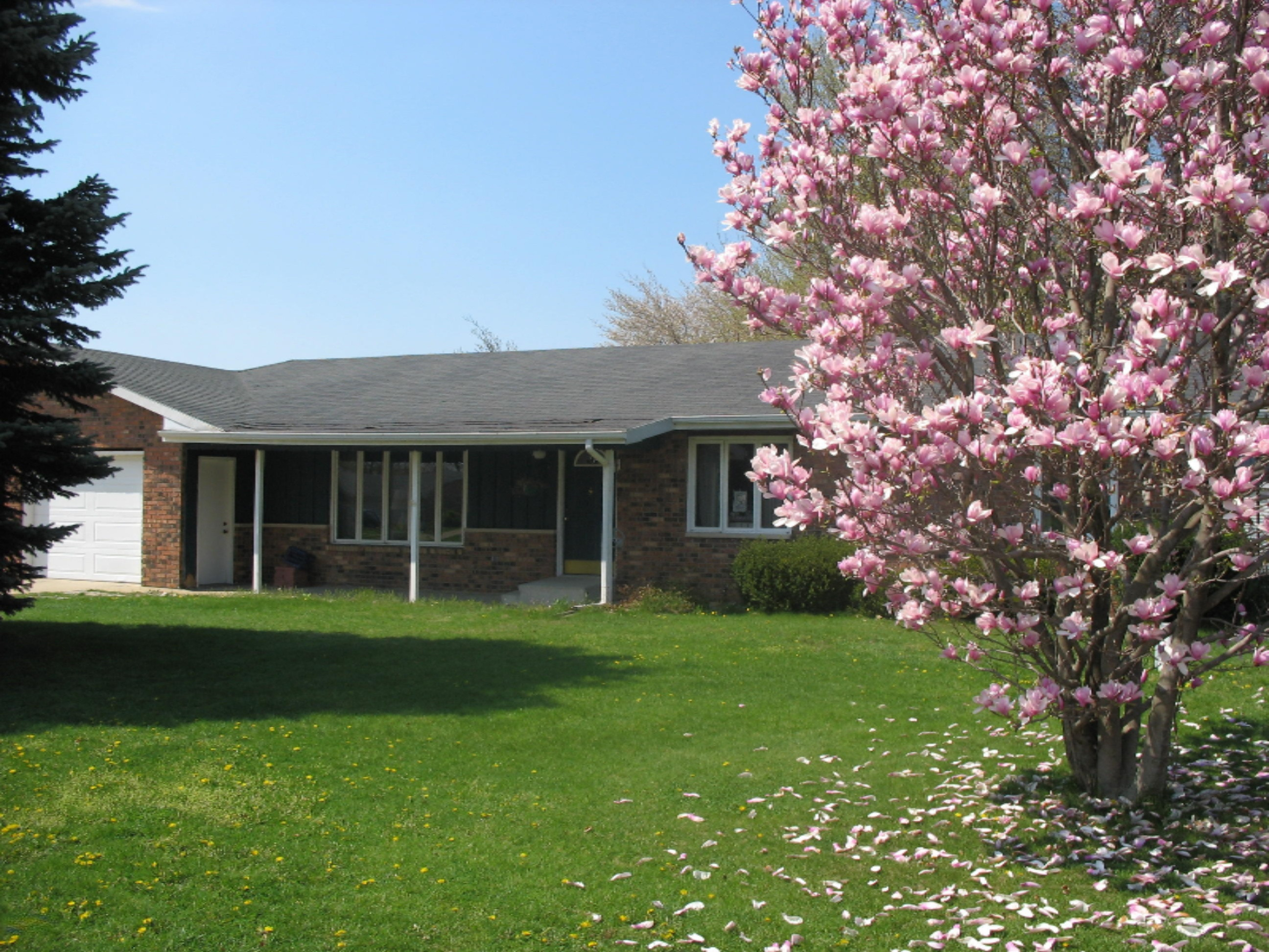6305 Scherr Road Berrien Springs, MI 49103 - Photo 5 of 77 IMG_0341