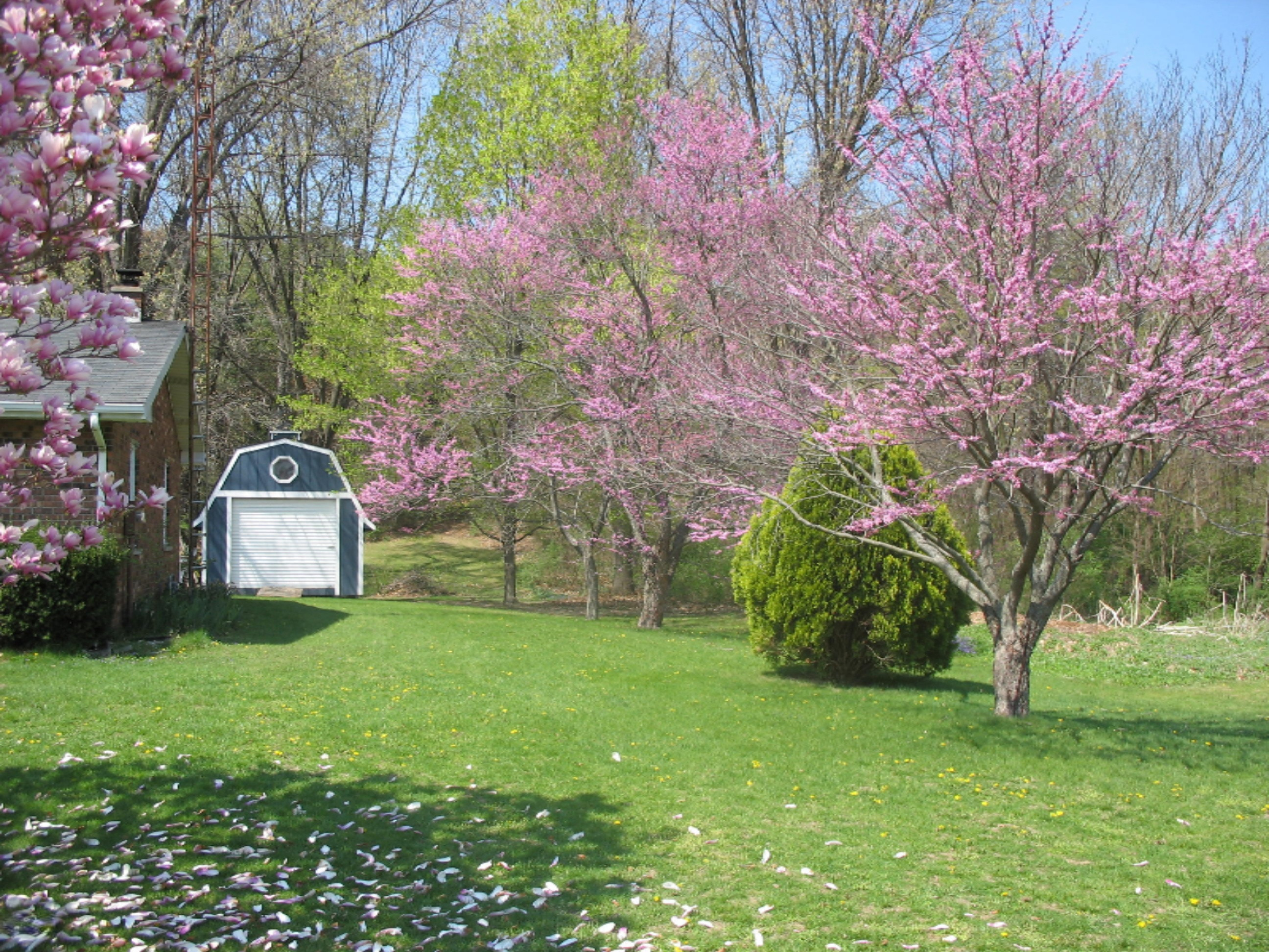 6305 Scherr Road Berrien Springs, MI 49103 - Photo 61 of 77 IMG_0342