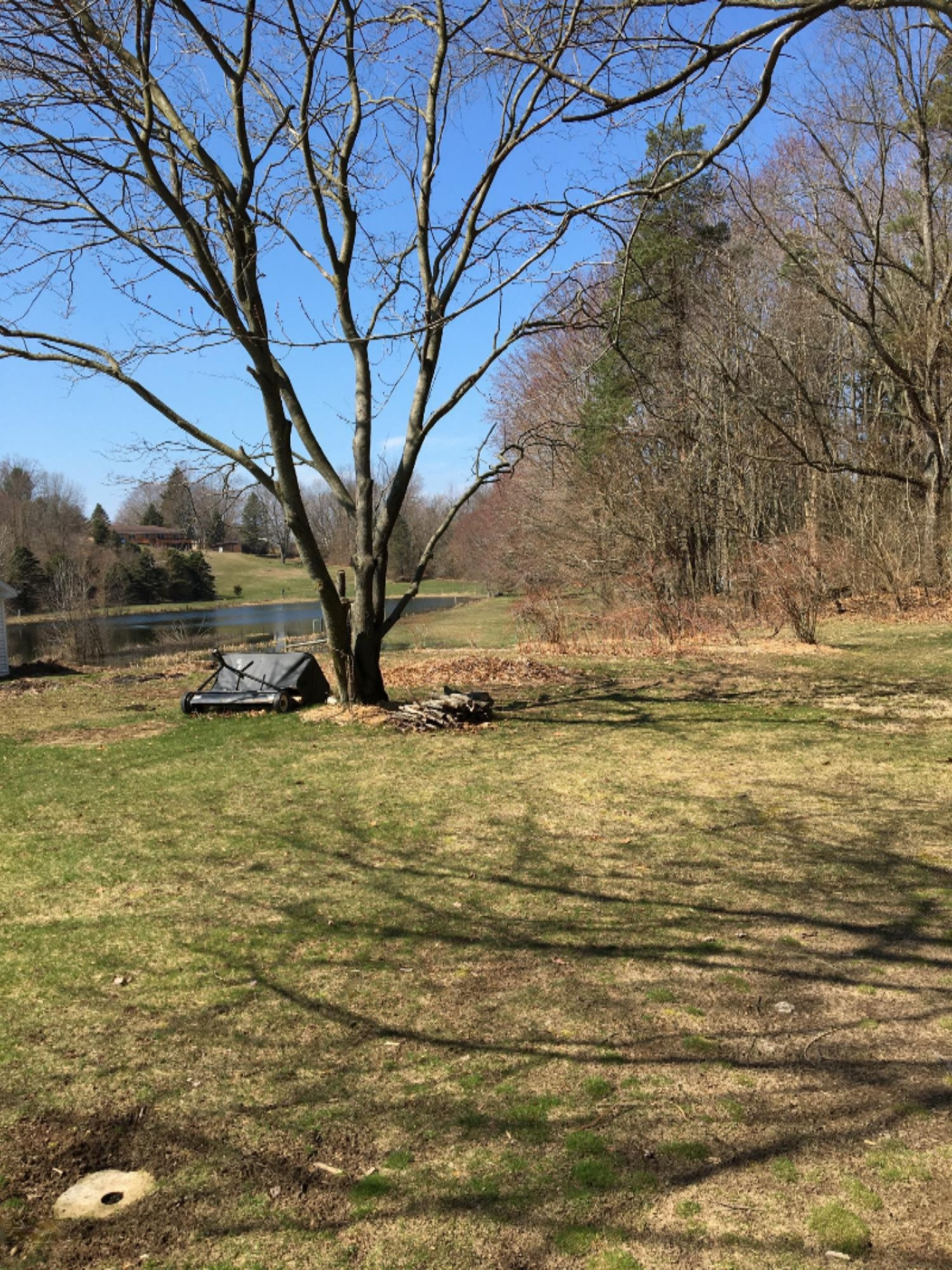 6305 Scherr Road Berrien Springs, MI 49103 - Photo 63 of 77 IMG_0328