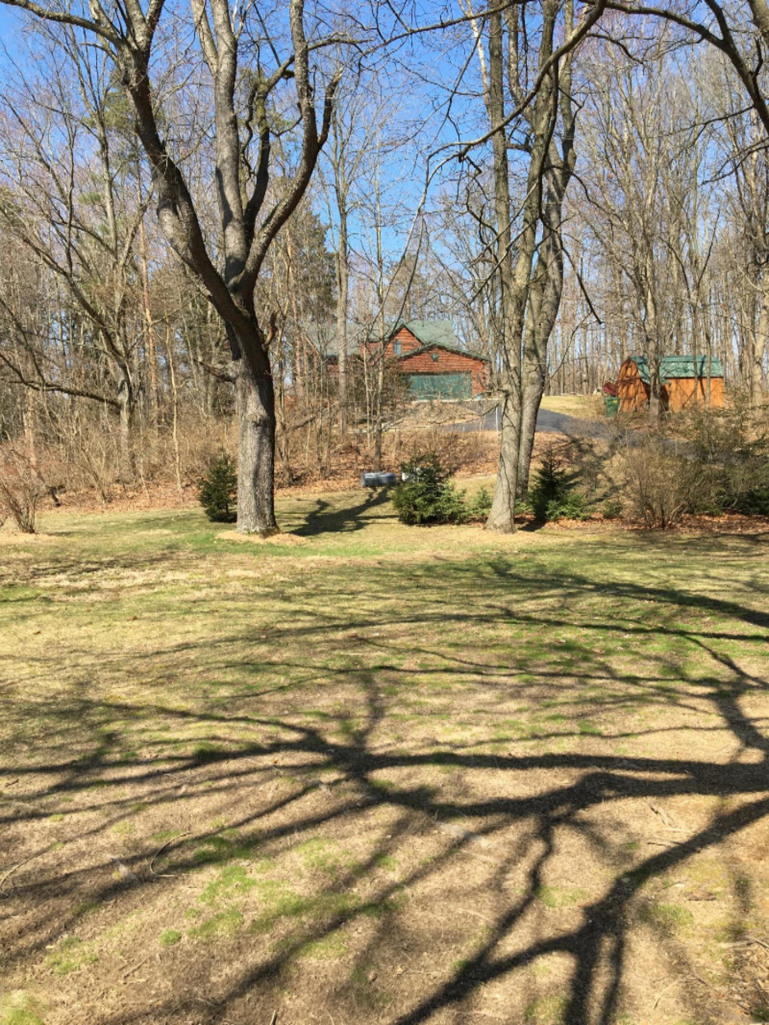 6305 Scherr Road Berrien Springs, MI 49103 - Photo 74 of 77 IMG_0329