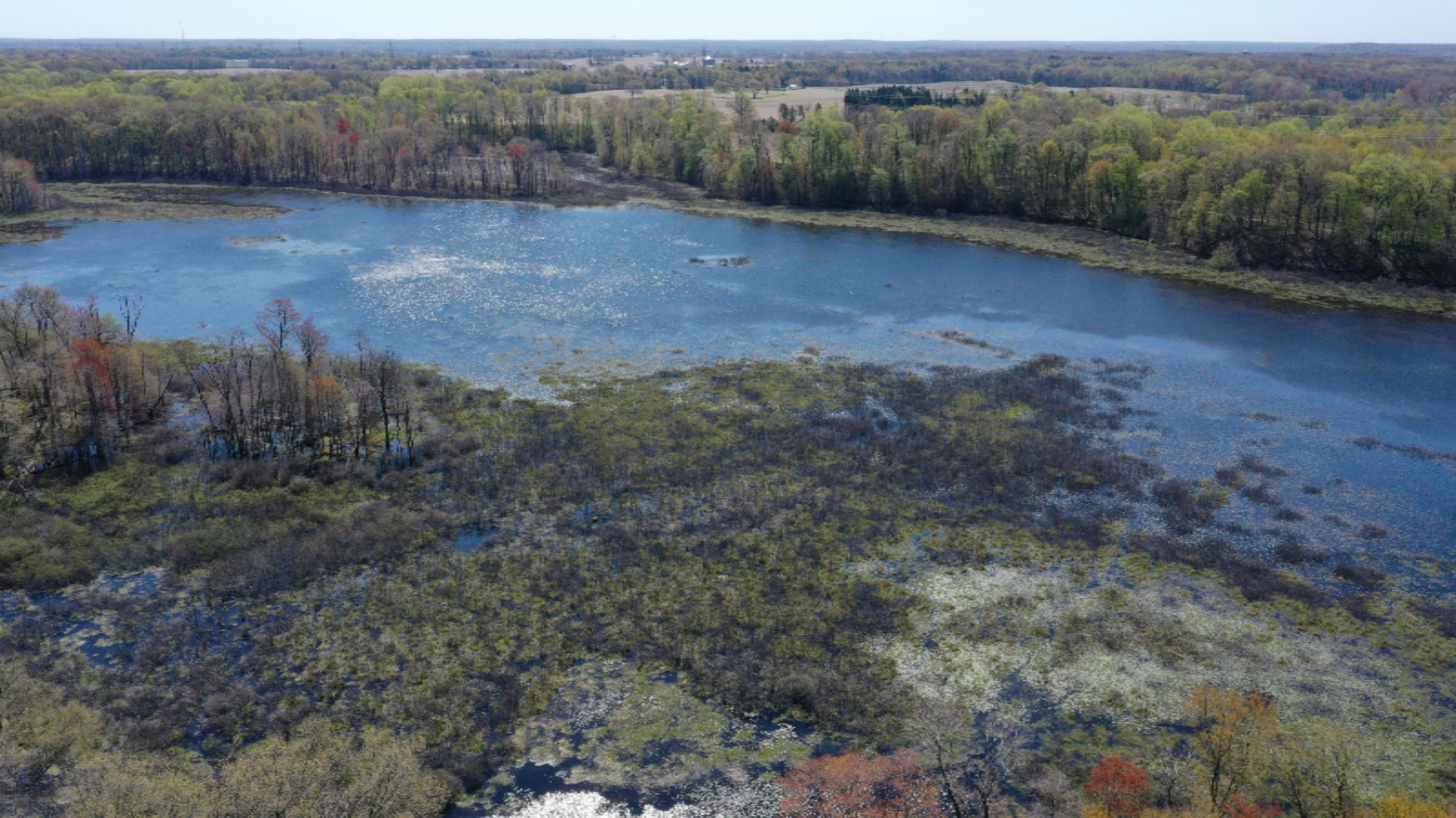 6305 Scherr Road Berrien Springs, MI 49103 - Photo 75 of 77 DJI_0957
