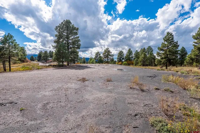a view of an outdoor space and trees