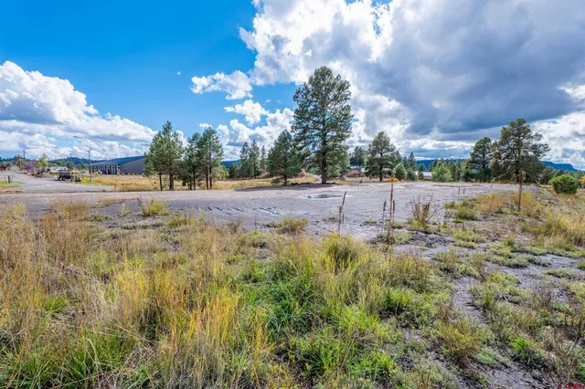 a view of a yard with palm tree