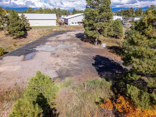 a view of a tree with a yard