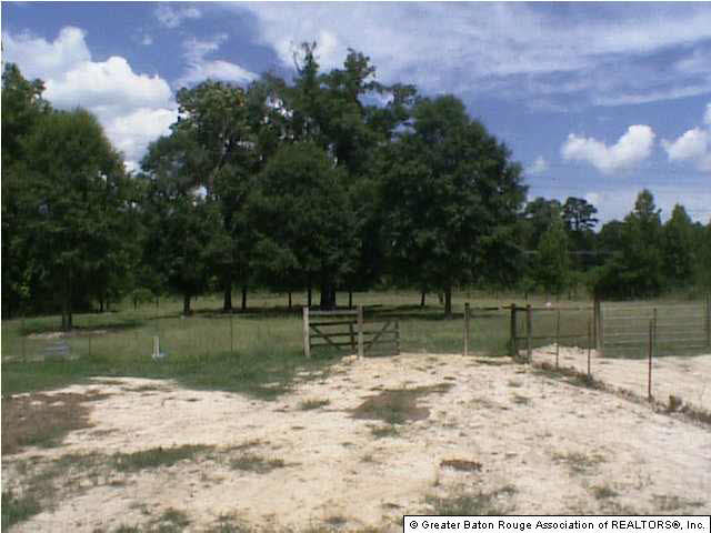 35216 Perkins Road Denham Springs, LA 70706 - Photo 11 of 12