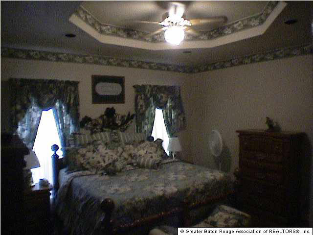35216 Perkins Road Denham Springs, LA 70706 - Photo 6 of 12