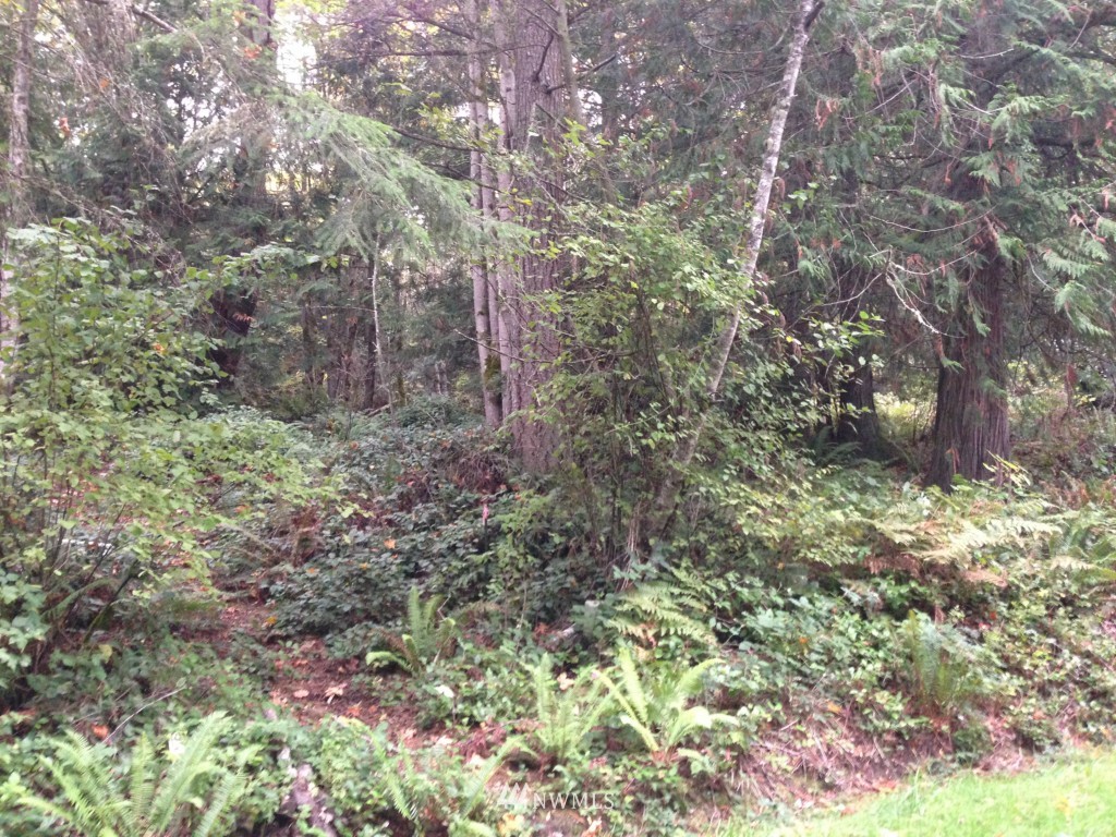 103 Puget Loop Port Ludlow, WA 98365 - Photo 1 of 9 Gallery Image 1