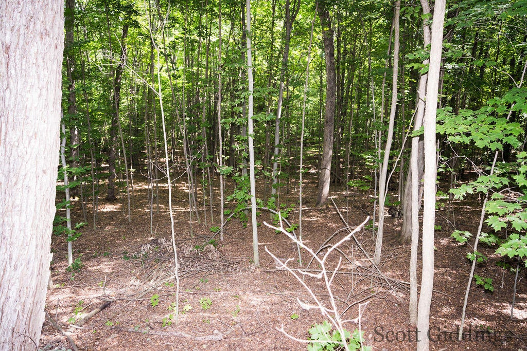 3750 North Hillman Road Stanton, MI 48888 - Photo 36 of 39 Gallery Image 36