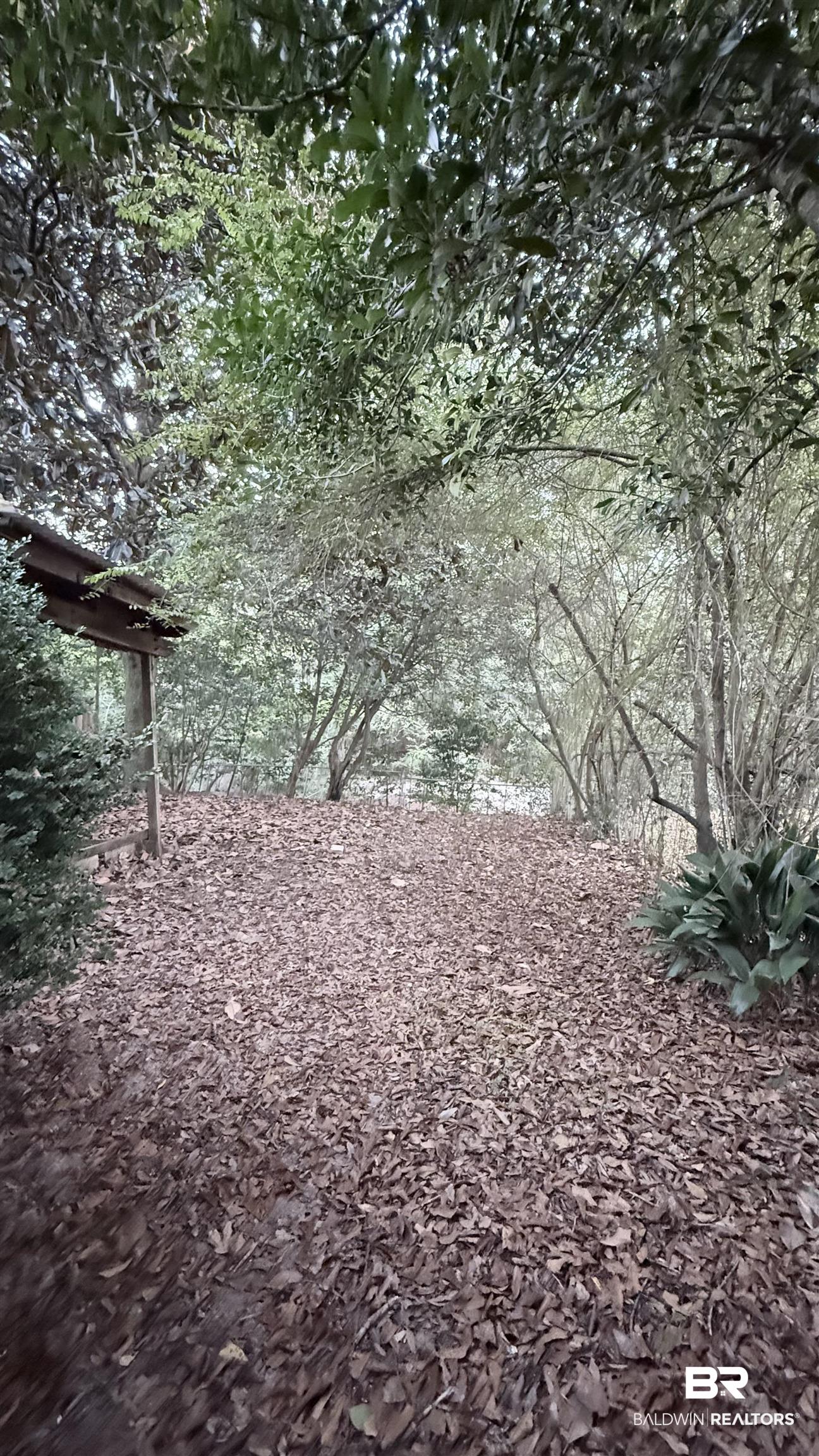 4131 Springdale Road Mobile, AL 36609 - Photo 10 of 28 View of nature