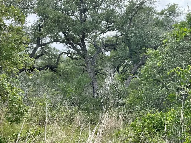 $87,500 | 342 Whispering Woods, Rockport, TX 78382