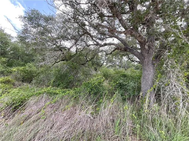 $87,500 | 342 Whispering Woods, Rockport, TX 78382