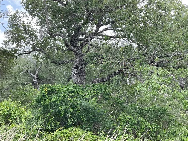 $87,500 | 342 Whispering Woods, Rockport, TX 78382