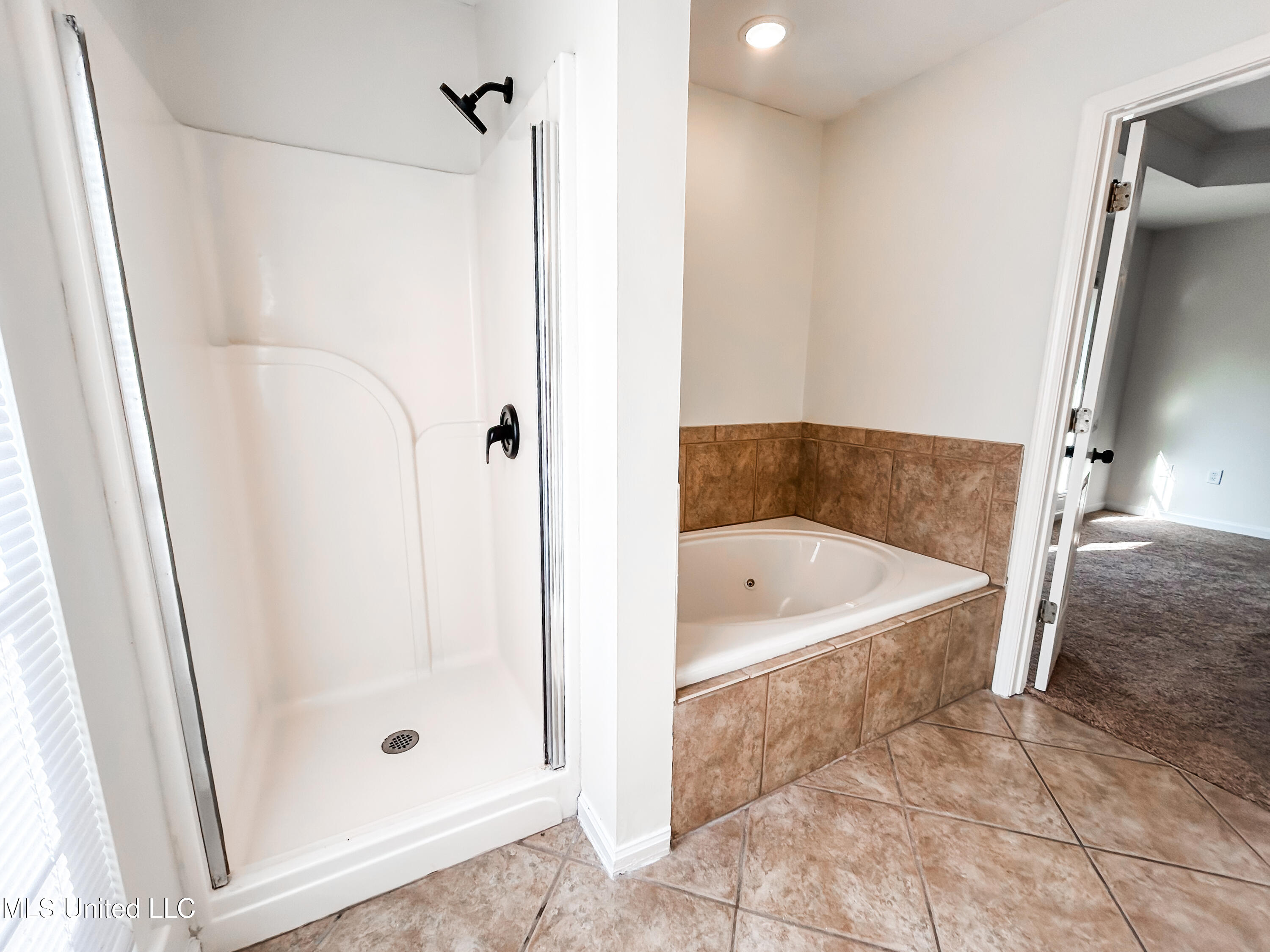 431 Hemlock Drive Flowood, MS 39232 - Photo 21 of 38 IMG_1106