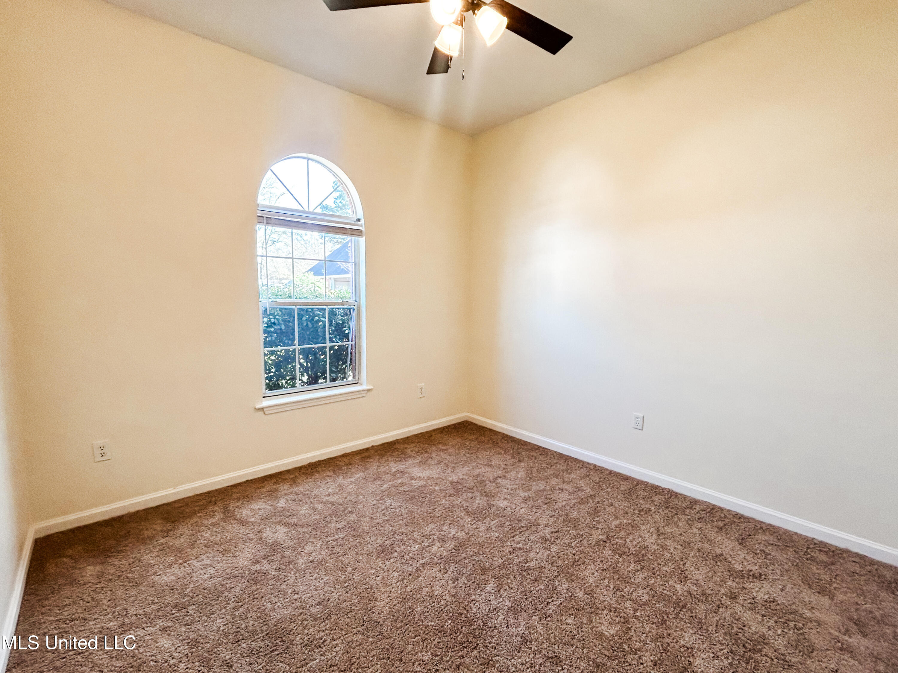 431 Hemlock Drive Flowood, MS 39232 - Photo 28 of 38 IMG_1098