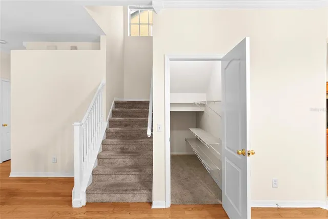 $3,700 | 10806 Spring Mountain Place, Tampa, FL 33626