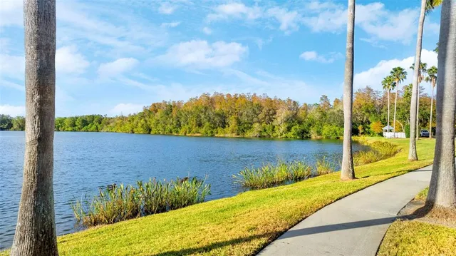 $3,700 | 10806 Spring Mountain Place, Tampa, FL 33626