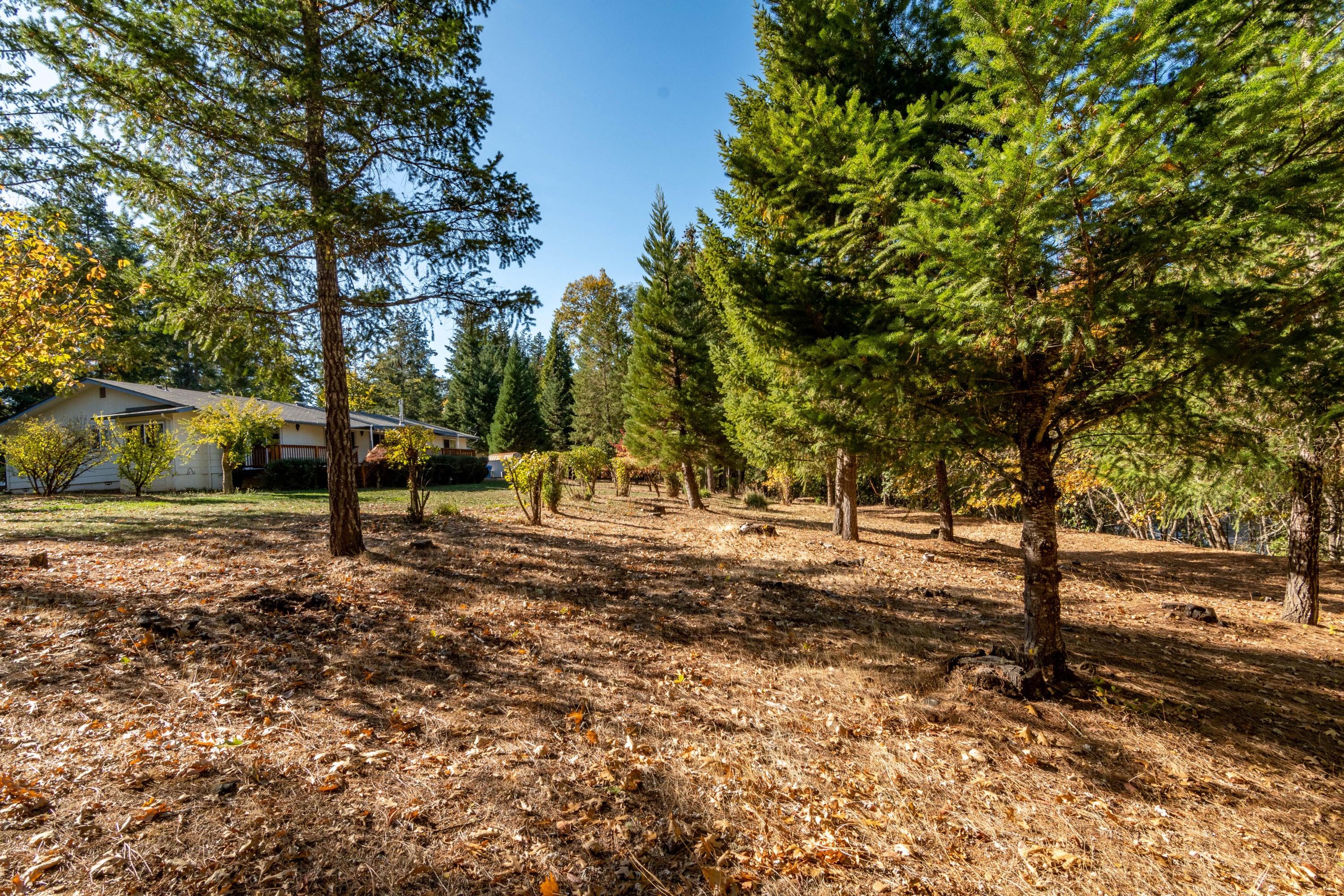 6176 Neill Road Grants Pass, OR 97527 - Photo 27 of 38 Neill Rd-28