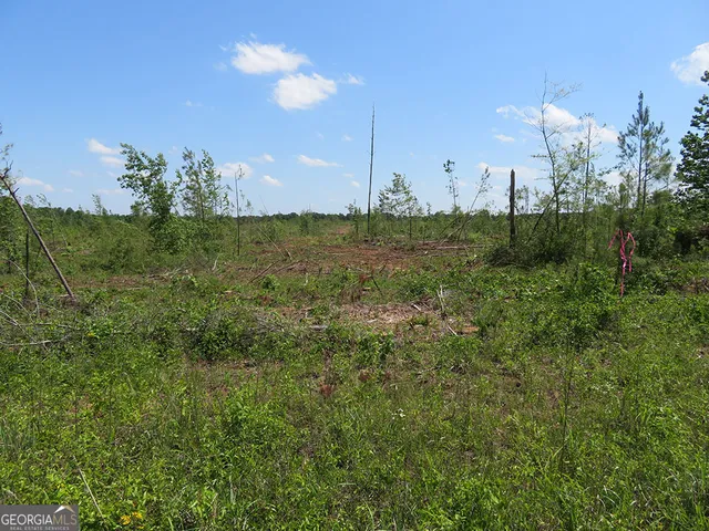 $100,980 | 0 Goolsby Road, Ellaville, GA 31806