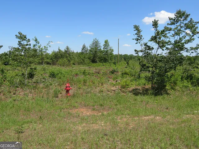 $100,980 | 0 Goolsby Road, Ellaville, GA 31806