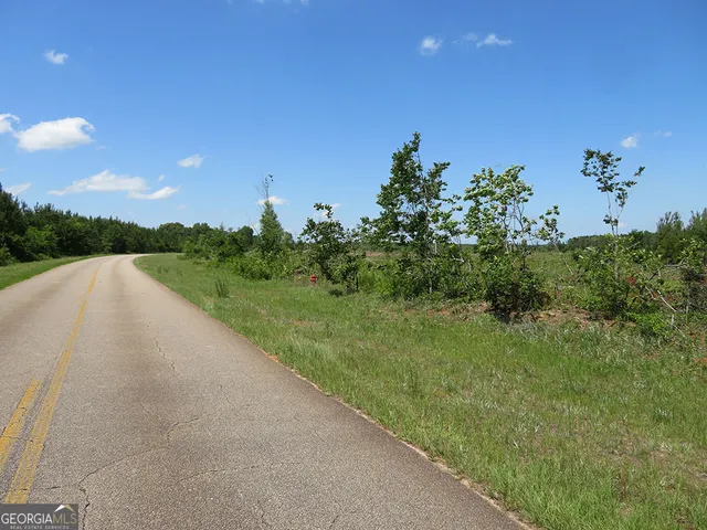 $100,980 | 0 Goolsby Road, Ellaville, GA 31806