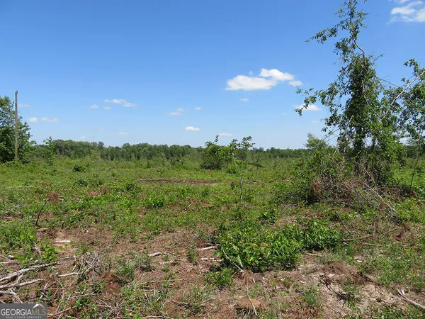 $100,980 | 0 Goolsby Road, Ellaville, GA 31806