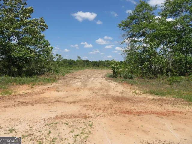 $100,980 | 0 Goolsby Road, Ellaville, GA 31806