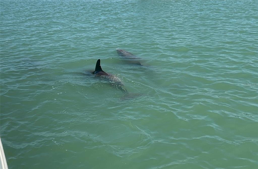 533 Lillian Drive Madeira Beach, FL 33708 - Photo 8 of 84