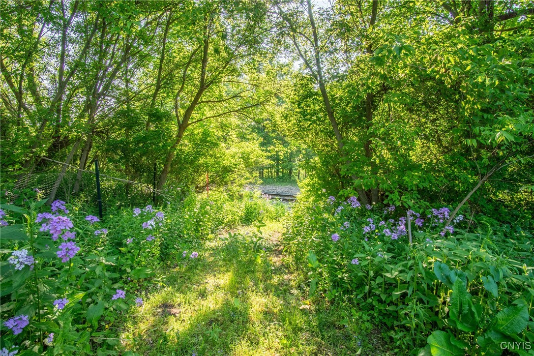 8367 South Main Street Le Ray, NY 13637 - Photo 48 of 50