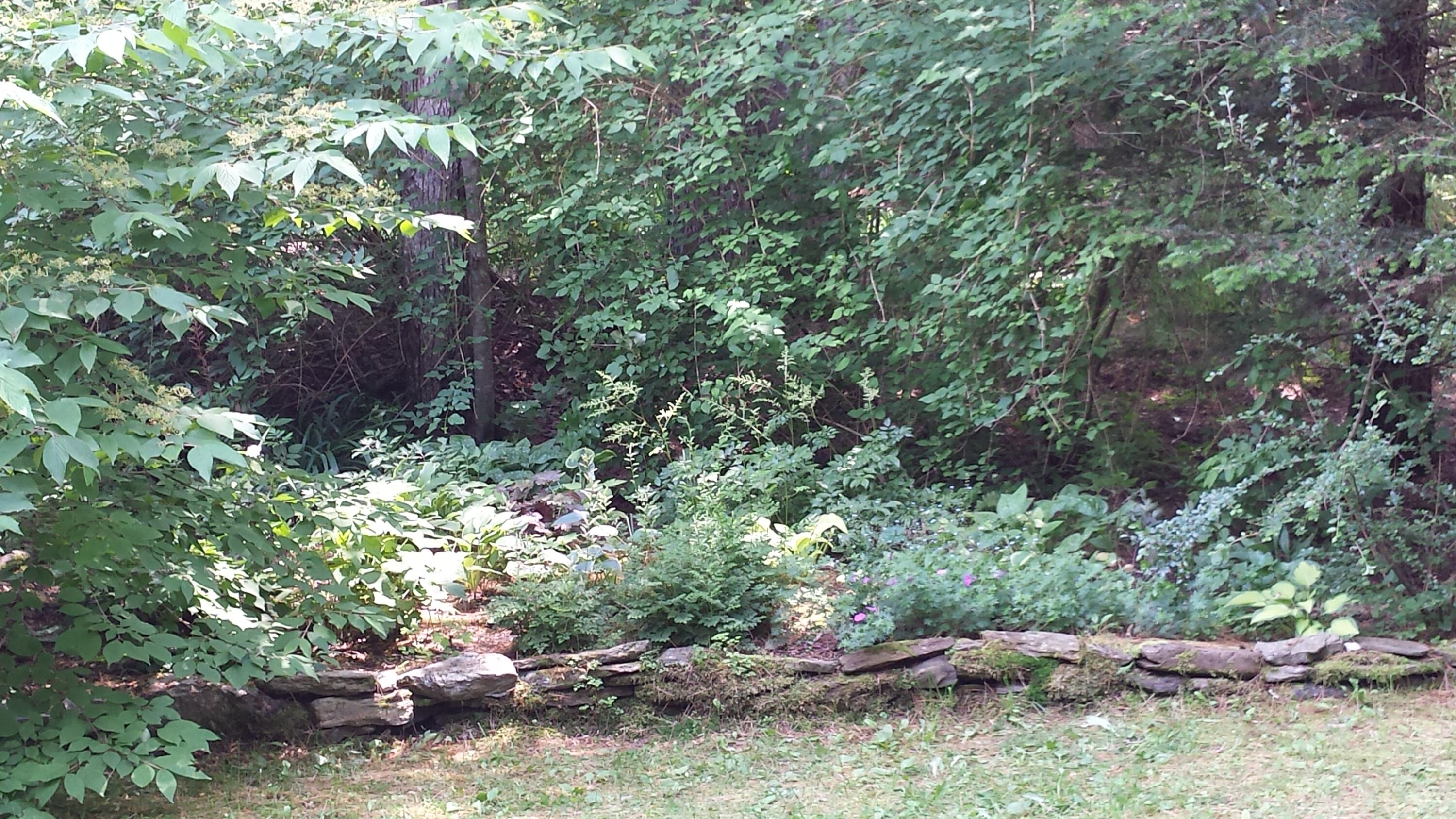 34 The Tote Road Harpswell, ME 04079 - Photo 46 of 49 20150705_125005