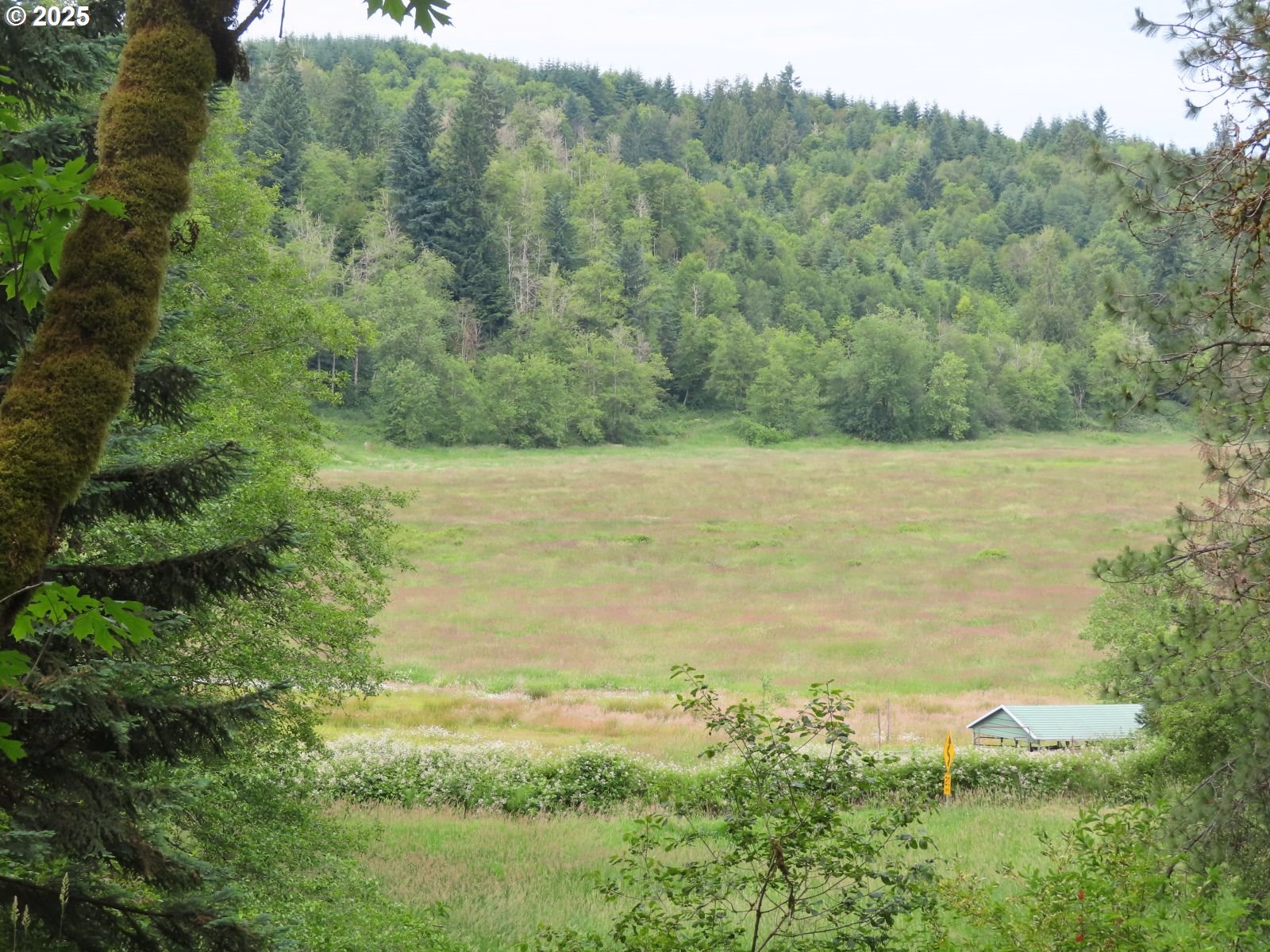 21720 Zenkner Valley Road Centralia, WA 98531 - Photo 2 of 17