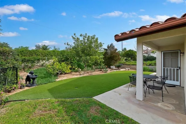 a view of a backyard with plants and a garden