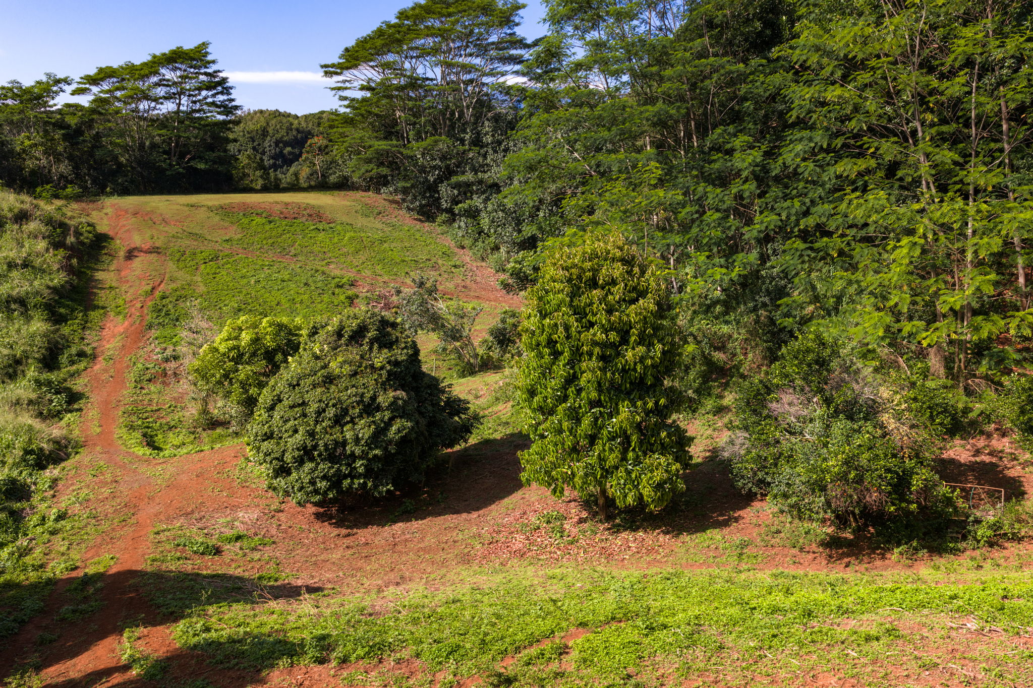 Lot 87-c-1 Kawaihau Road Kapaa, HI 96746 - Photo 18 of 27