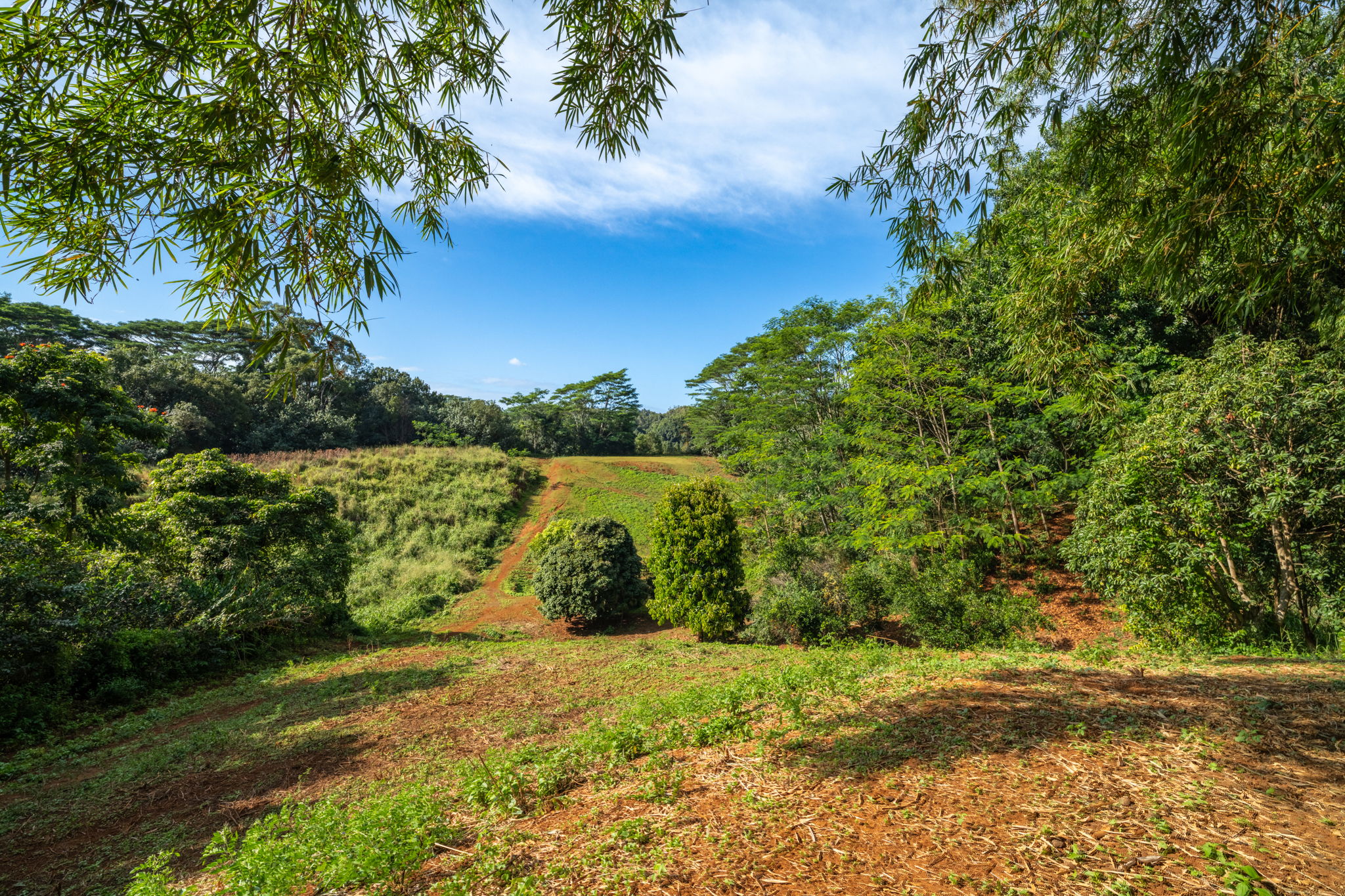 Lot 87-c-1 Kawaihau Road Kapaa, HI 96746 - Photo 20 of 27