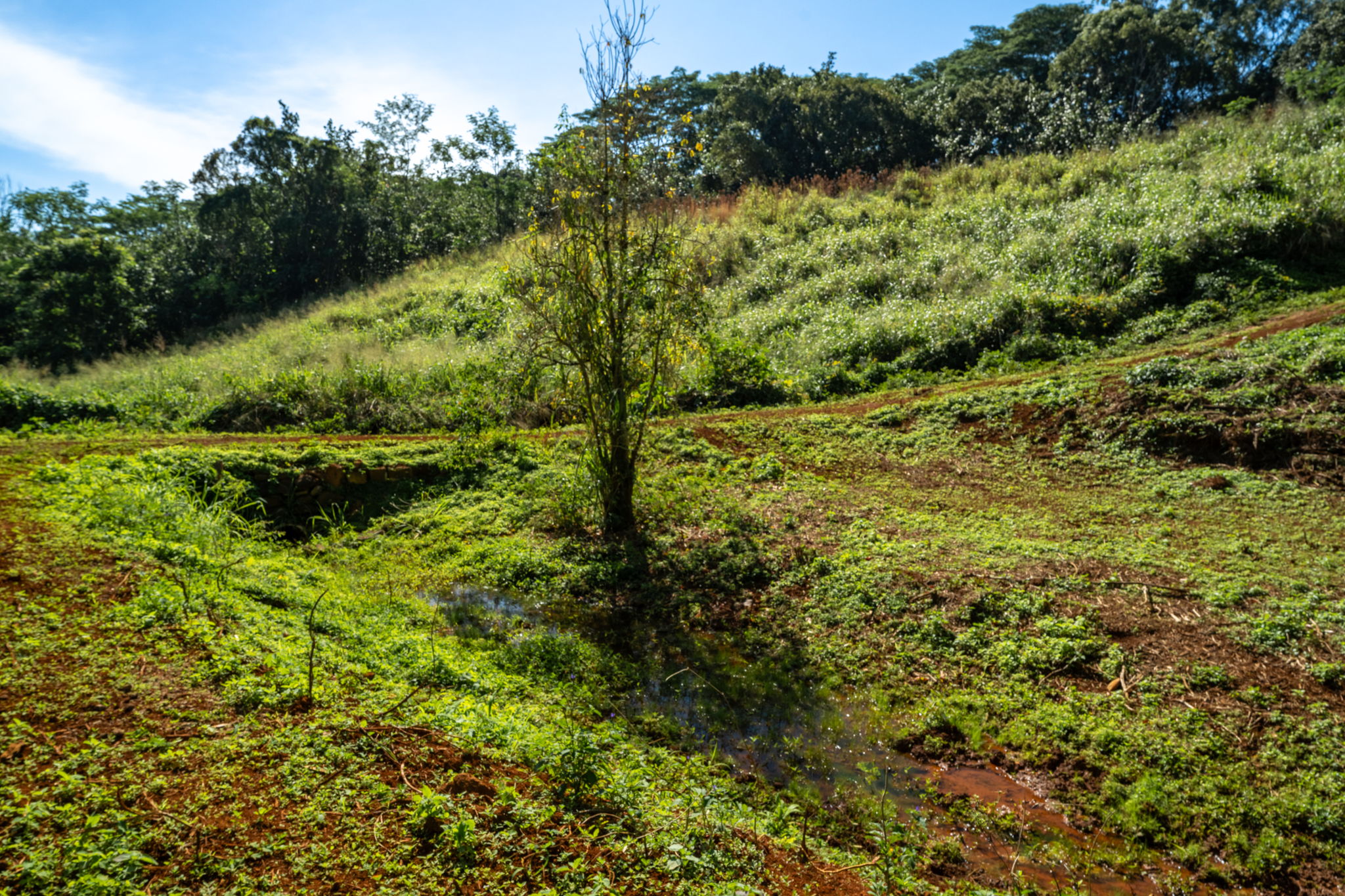 Lot 87-c-1 Kawaihau Road Kapaa, HI 96746 - Photo 23 of 27