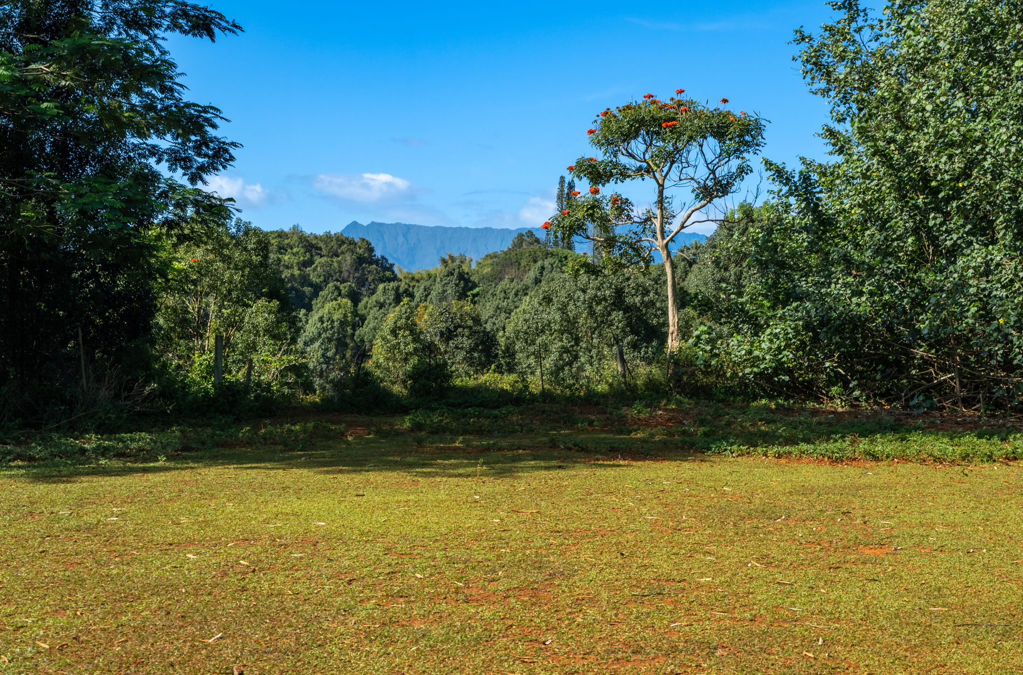 Lot 87-c-1 Kawaihau Road Kapaa, HI 96746 - Photo 25 of 27