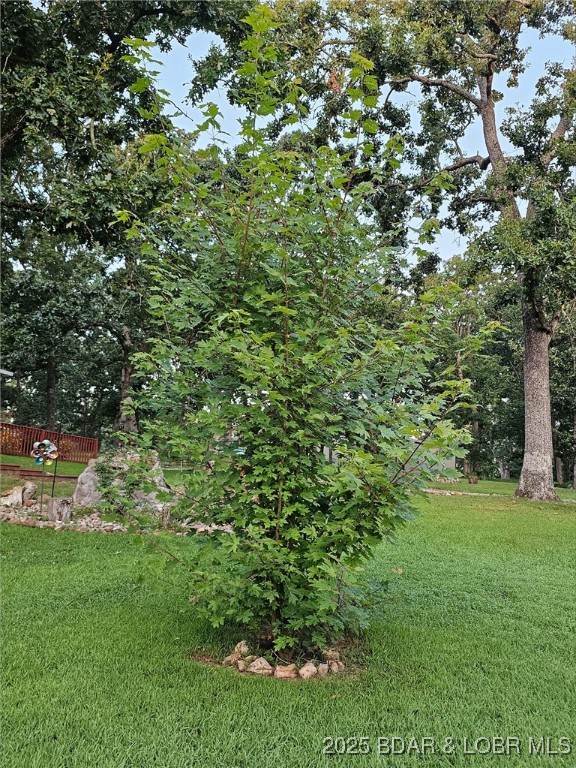 202 Simmons Loop Macks Creek, MO 65786 - Photo 45 of 45